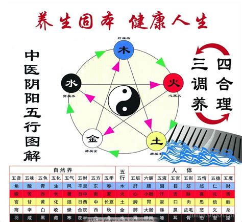 金木水火土 心肝脾肺腎|中医给五脏划分了五行属性，十分精准，古人是。